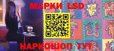 индика Рузаевка