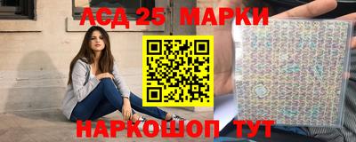 индика Рузаевка