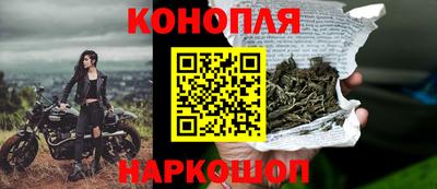 индика Рузаевка