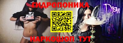 индика Рузаевка