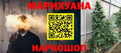 индика Рузаевка