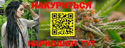 индика Рузаевка