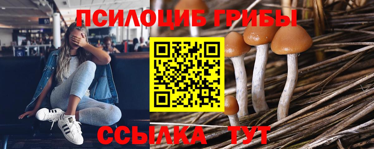 Псилоцибиновые грибы мухоморы Сибай