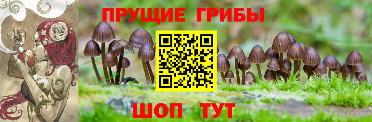 Сибай  Галлюциногенные грибы GOLDEN TEACHER  Вход с VPN 